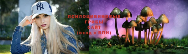 дурь Абаза