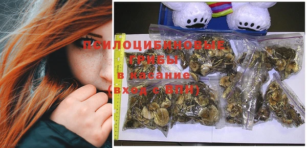 индика Абдулино